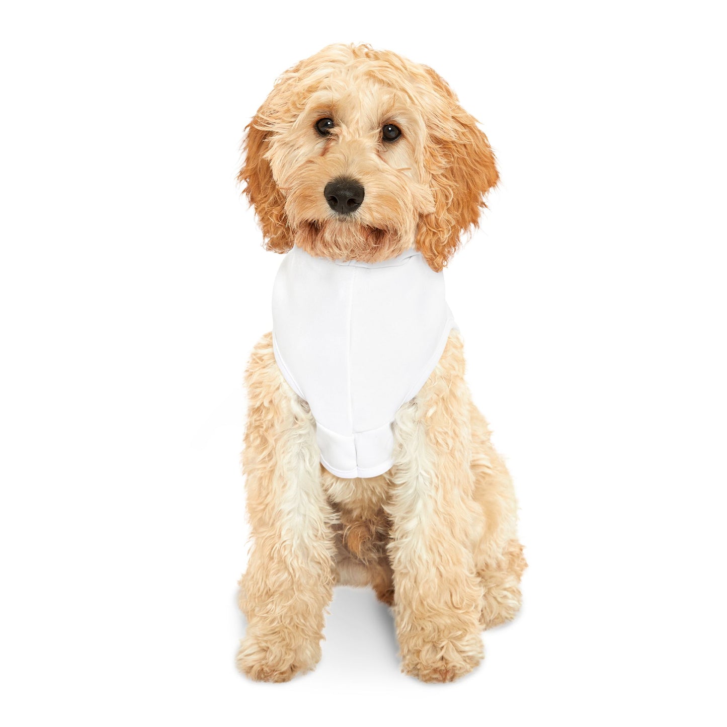 Dog=Love Paw Prints and Heart Hoodie