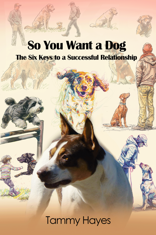 So You Want a Dog - The Six Keys to a Successful Relationship